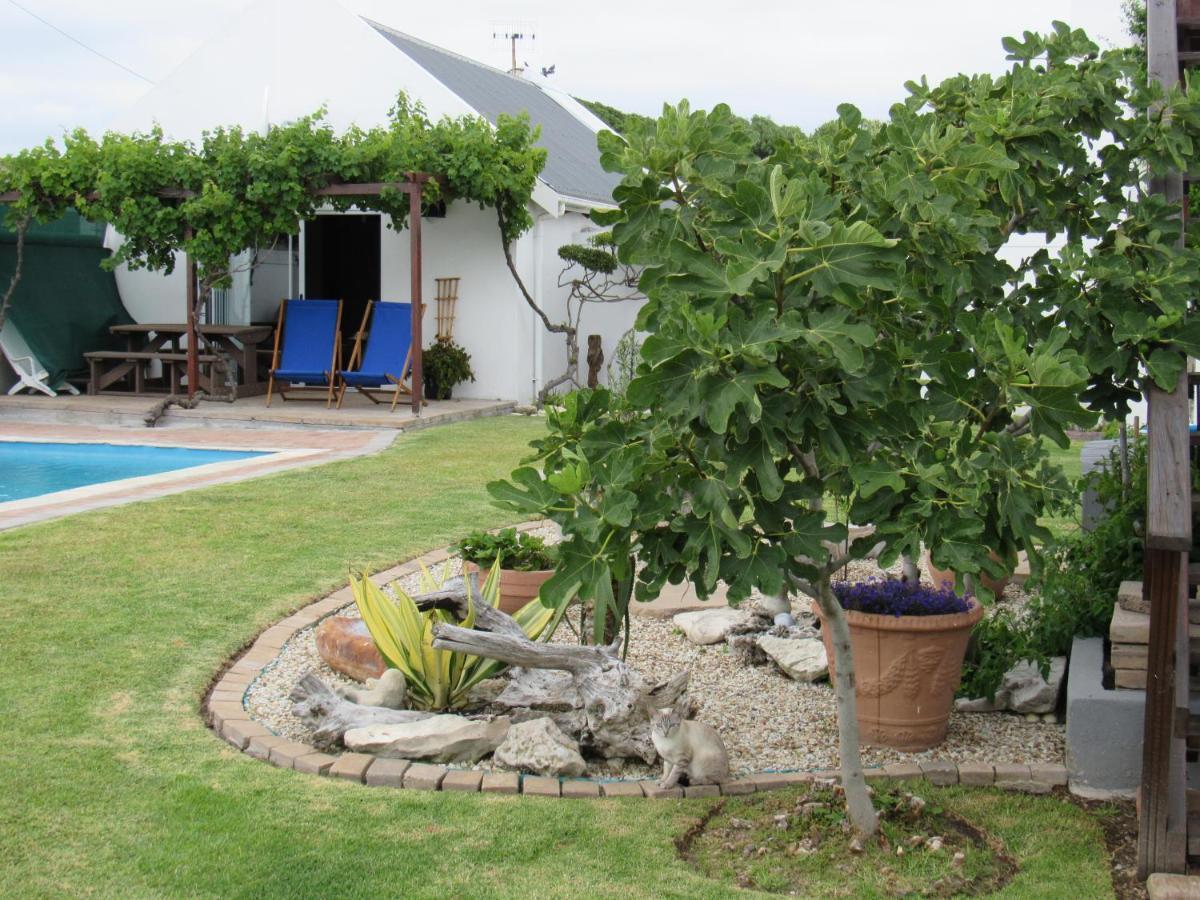 Omega Suite Gansbaai Exterior photo